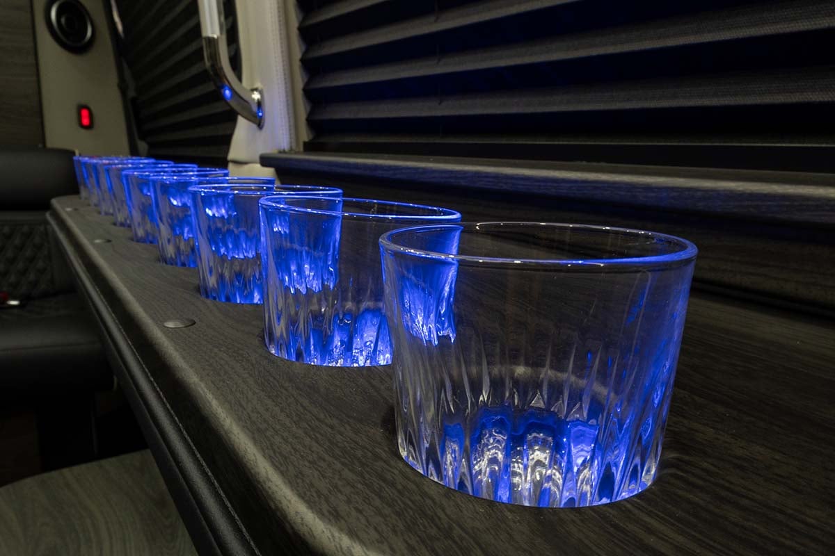 2025 OGV LUXURY COACH V-Drive 12-Passenger gallery image-25